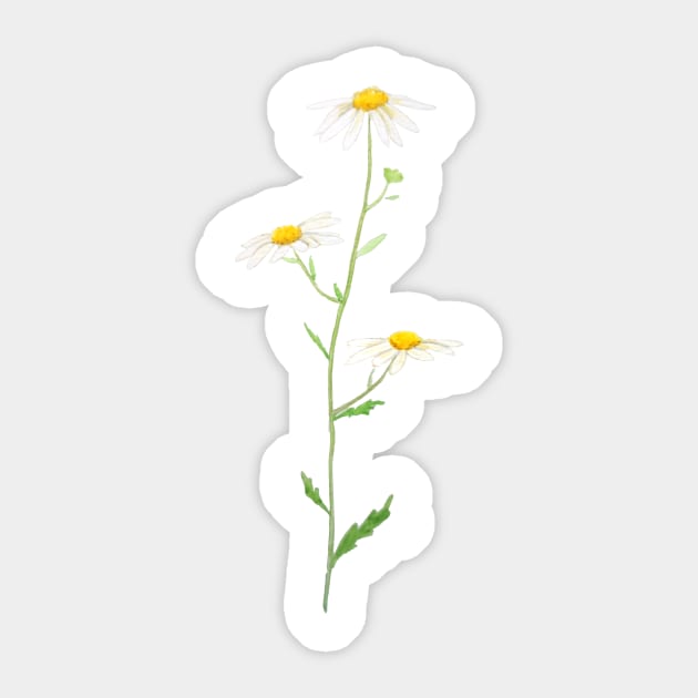 white daisy watercolor Sticker by colorandcolor